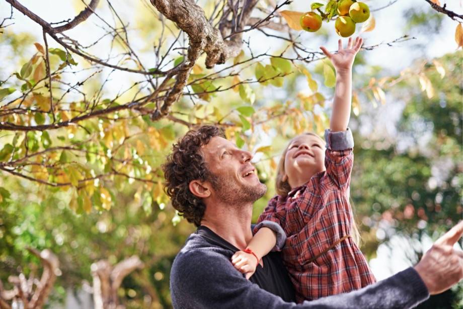 apples, apples and body health, effect of apples on the body, eating apples daily is healthy, health benefits of apples,, appels, appels en gezondheid lichaam, effect van appels op het lichaam, dagelijks appels eten gezond, gezondheidsvoordelen van appels, gezondheidsvoordelen van appels, Alexwaterandbouw