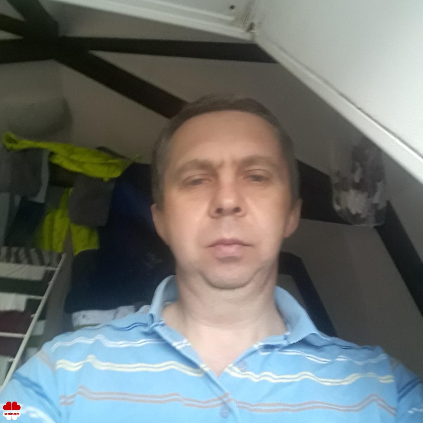 website, website development, WordPress website, business website,