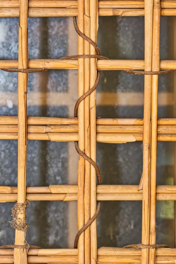 verticale tuin ideeën, trellis ideeën, tuin hek met trellis