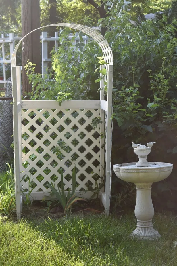 verticale tuin ideeën, trellis ideeën, tuin hek met trellis