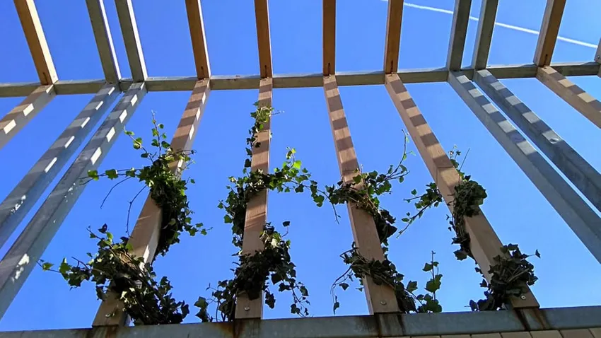 verticale tuin ideeën, trellis ideeën, tuin hek met trellis