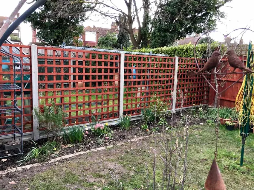 verticale tuin ideeën, trellis ideeën, tuin hek met trellis
