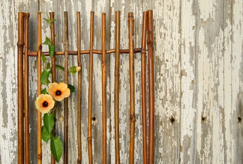 verticale tuin ideeën, trellis ideeën, tuin hek met trellis