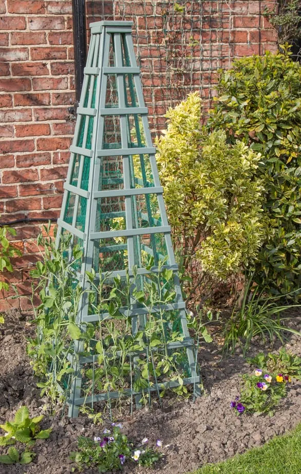 verticale tuin ideeën, trellis ideeën, tuin hek met trellis