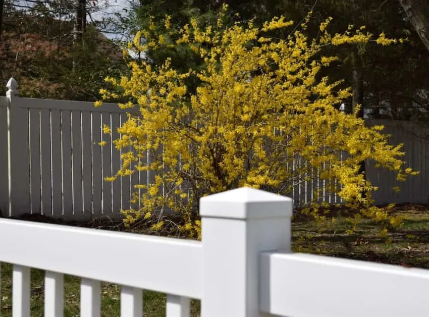 Dubbele Stijl, Vinyl Omheining, Vinyl Omheining Ideeën, AlexWaterandBouw