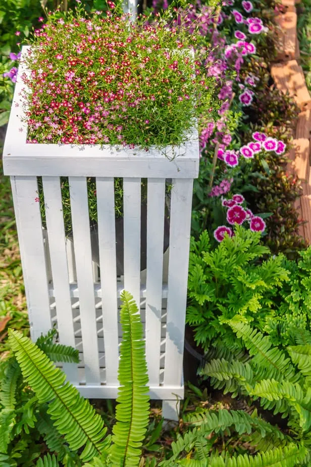 Bloemen Combinatie, Vinyl Omheining, Vinyl Omheining Ideeën, AlexWaterandBouw